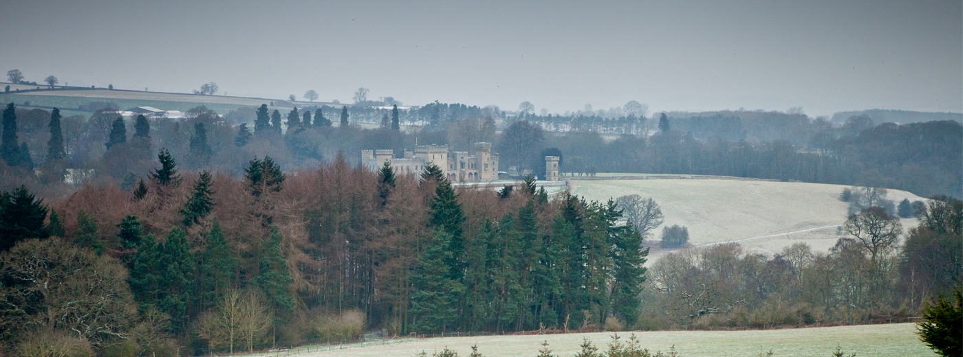 The Downton Shoot